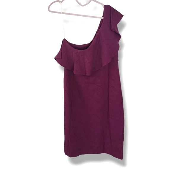 NWT LILLY PULITZER BORDEAUX ONE SHOULDER DRESS IN AMARENA CHERRY SIZE 12 $198 - Picture 6 of 11